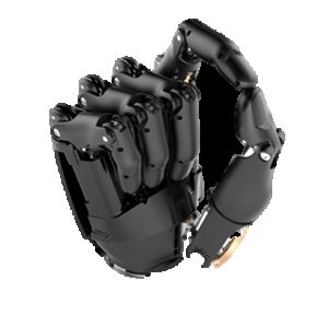 Protezy funkcjonalne